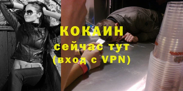 кокс Алексин